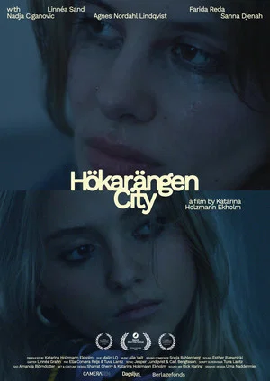 Постер: Hökarängen City