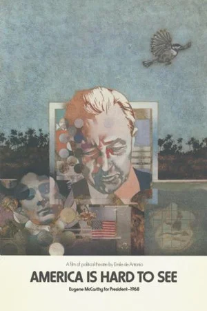 Постер: America Is Hard to See
