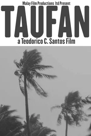 Постер: Taufan
