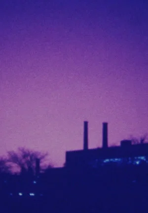 Постер: Aesthetic Memory