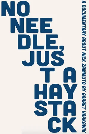 Постер: No Needle, Just A Haystack