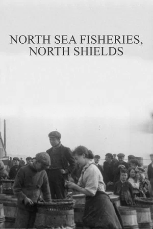 Постер: North Sea Fisheries, North Shields