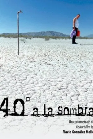Постер: 40°C In The Shade