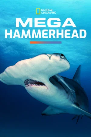 Постер: Mega Hammerhead