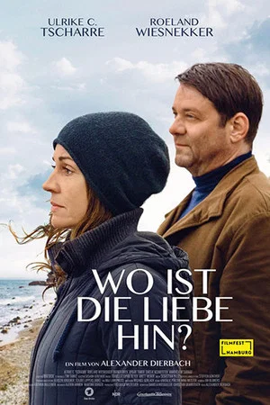 Постер: Wo ist die Liebe hin?