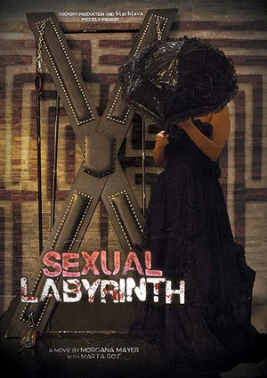 Постер: Sexual Labyrinth