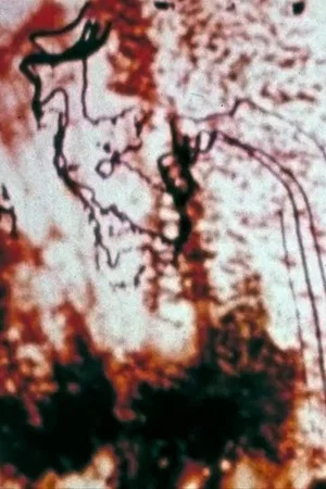 Постер: Trace