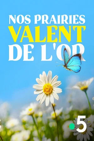 Постер: Nos prairies valent de l'or