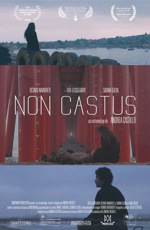 Постер: Non Castus