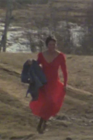 Постер: The Red Dress