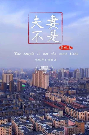 Постер: The Couple Is Not The Same Birds