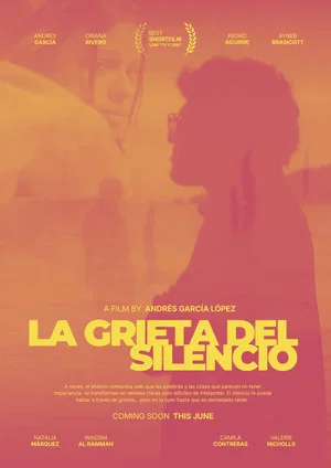 Постер: La Grieta del Silencio