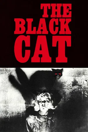 Постер: The Black Cat