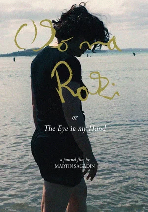 Постер: The Eye in My Hand
