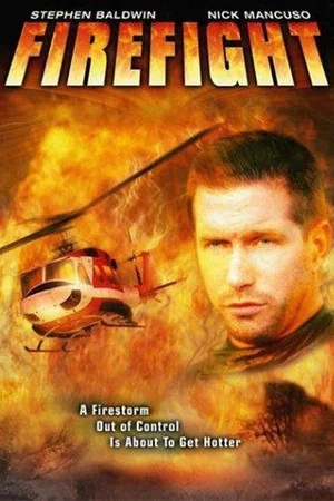 Постер: Firefight
