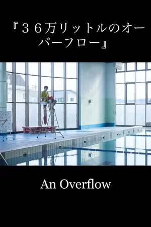 Постер: An Overflow