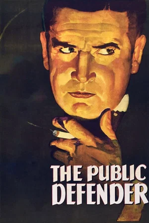 Постер: The Public Defender