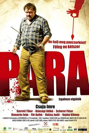 Постер: Para