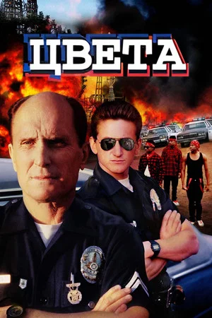 Постер: Цвета