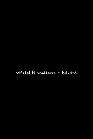 Постер: A Mile and a Half from Peace