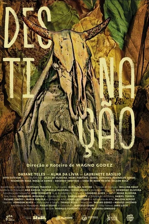 Постер: Destinação