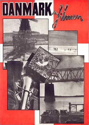Постер: Danmarksfilmen