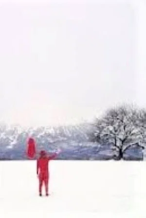 Постер: Monkeylove