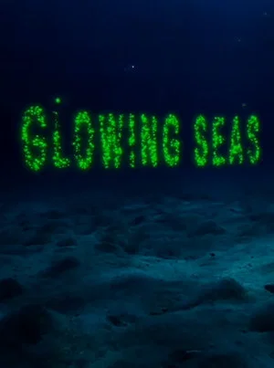 Постер: Glowing Seas - Diving at Hatshepsut's Harbour