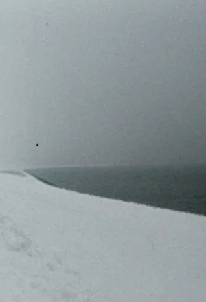Постер: Zufalls-Horizonte