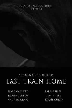 Постер: Last Train Home