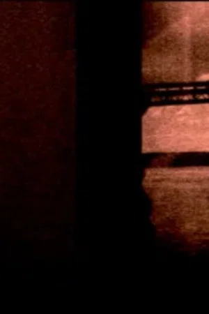 Постер: Two Roll Camera Roll