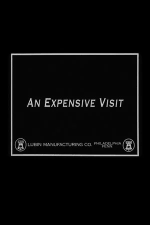 Постер: An Expensive Visit