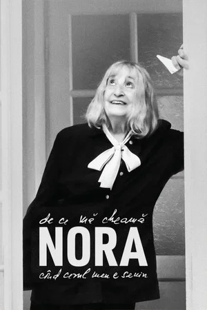 Постер: De ce mă cheamă Nora, când cerul meu e senin