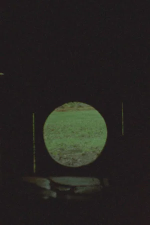 Постер: Light Signal