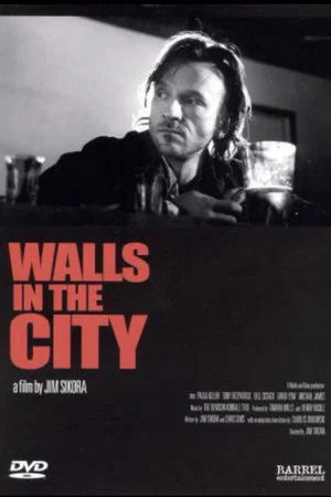 Постер: Walls in the City