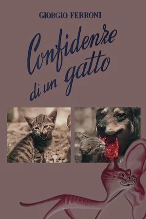 Постер: Confidenze di un gatto