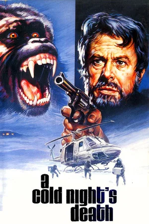 Постер: A Cold Night's Death
