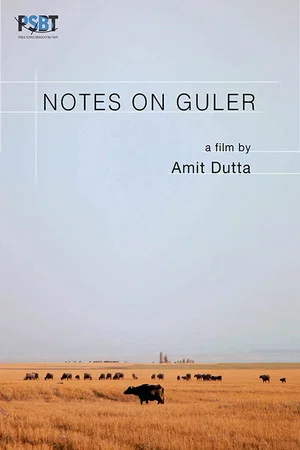 Постер: Notes on Guler