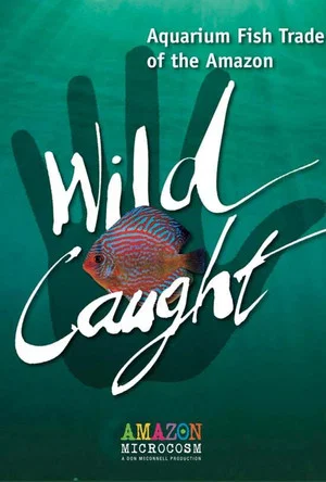 Постер: Wild Caught: Aquarium Fish Trade of the Amazon