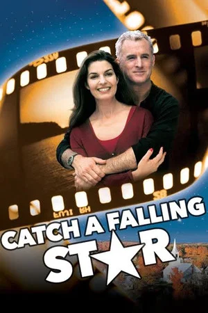 Постер: Catch a Falling Star
