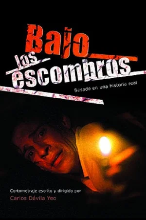Постер: Bajo los escombros