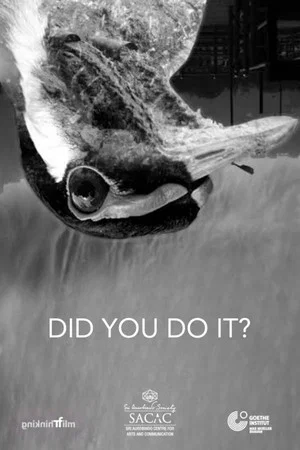Постер: Did You Do It?