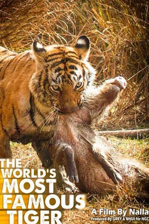 Постер: The World's Most Famous Tiger