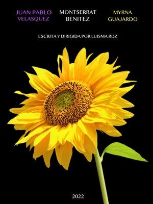 Постер: De la Noche a la Mañana