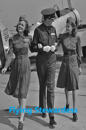 Постер: Flying Stewardess