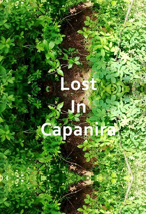 Постер: Lost In Capanira