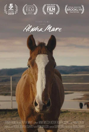 Постер: Alpha Mare