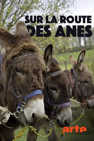 Постер: Sur la route des ânes