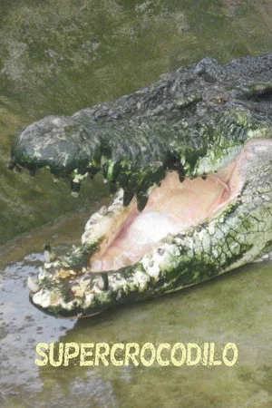Постер: Man-Eating Super Croc