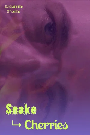 Постер: Snake to Cherries